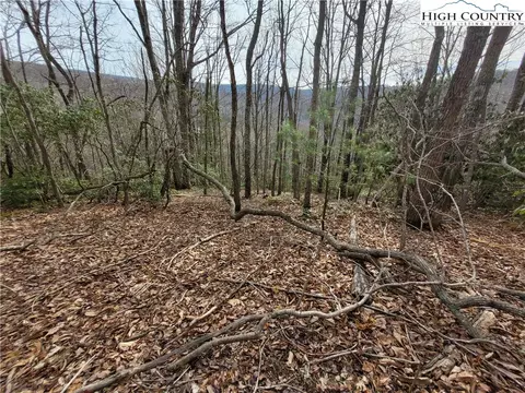 1138 Pine Ridge Rd, Beech Mountain, NC 28604