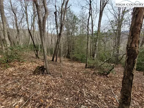 1138 Pine Ridge Rd, Beech Mountain, NC 28604 photo 24