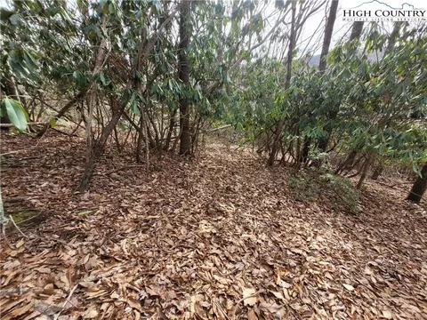 1138 Pine Ridge Rd, Beech Mountain, NC 28604 photo 13