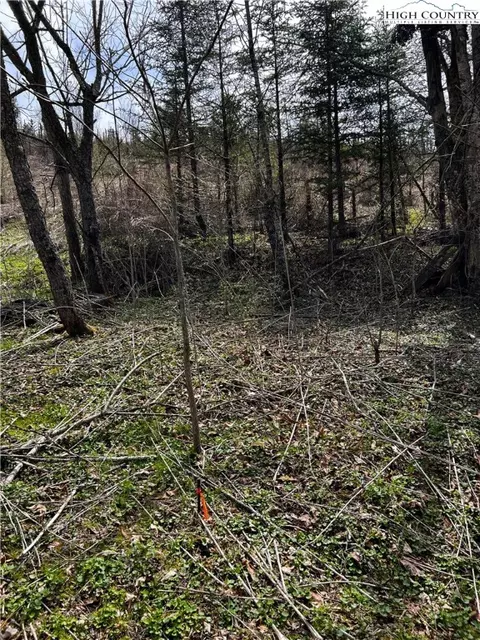 tbd G St, Lansing, NC 28643 photo 19