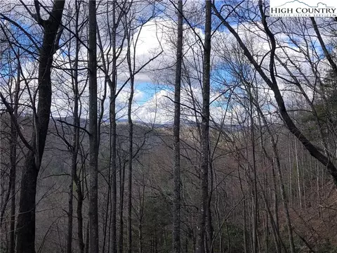 lot141 B Hickory Hollow Rd, Purlear, NC 28665