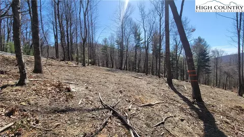 lot2 Phillips Gap Rd, Purlear, NC 28665 photo 5