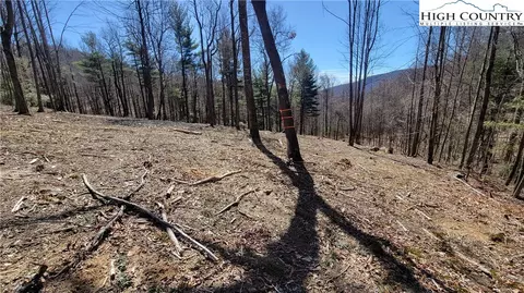 lot2 Phillips Gap Rd, Purlear, NC 28665 photo 4