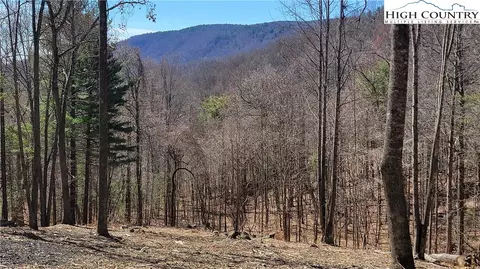 lot2 Phillips Gap Rd, Purlear, NC 28665
