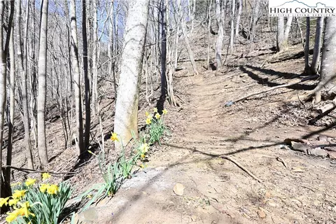 2701 Threetop Rd, Creston, NC 28615 photo 27