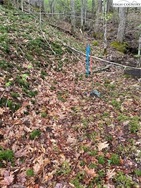 134 Arrowhead Rd, Beech Mountain, NC 28604