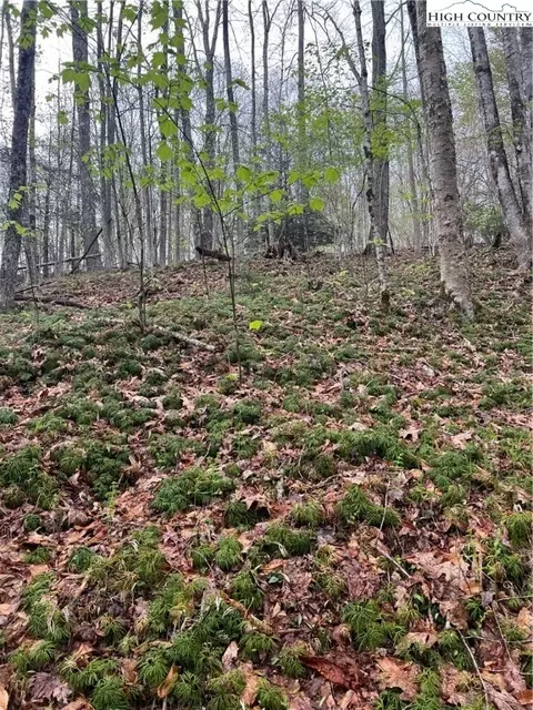 134 Arrowhead Rd, Beech Mountain, NC 28604 photo 3