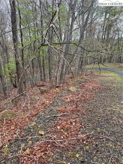 134 Arrowhead Rd, Beech Mountain, NC 28604 photo 4