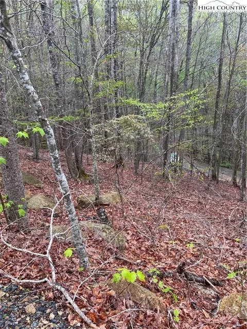 134 Arrowhead Rd, Beech Mountain, NC 28604 photo 6