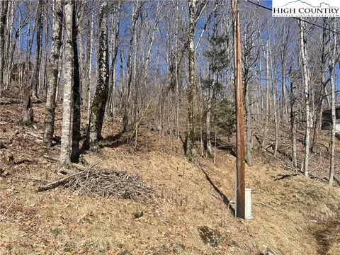 106 Foxgrape Hollow Rd, Beech Mountain, NC 28604 photo 2