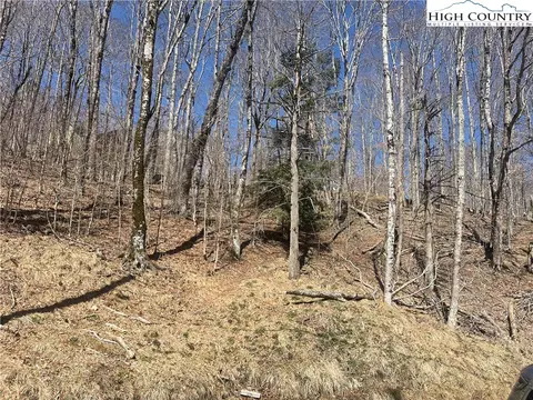 106 Foxgrape Hollow Rd, Beech Mountain, NC 28604 photo 3