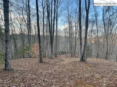 Tbd Chestnut Hill Road, Crumpler, NC 28617