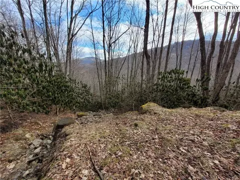105 Bluebird Ln, Beech Mountain, NC 28604