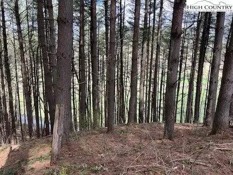lot Apt 12 River Spring Rd, Sugar Grove, NC 28679