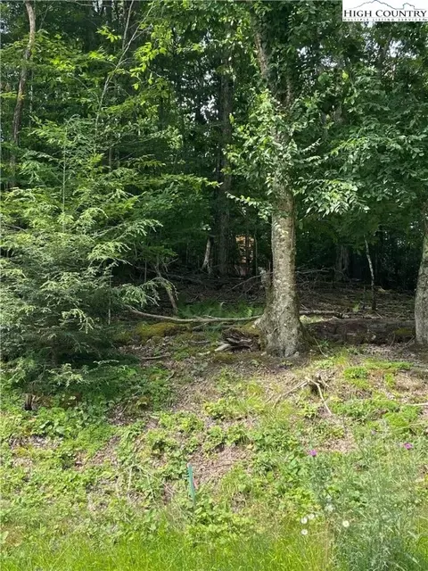 221 Greenbriar Rd, Beech Mountain, NC 28604