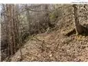 8076 Elk Creek Rd, Deep Gap, NC 28618 photo 30