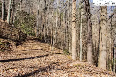 8076 Elk Creek Rd, Deep Gap, NC 28618 photo 6