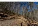 8076 Elk Creek Rd, Deep Gap, NC 28618 photo 27