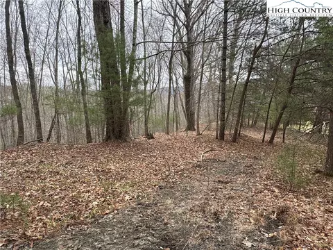 Tbd Forest Hill Drive, Sparta, NC 28675