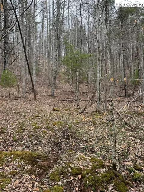 1891 Rainbow Trl, Boone, NC 28607 photo 3