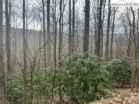 lot82 Buckeye Creek Rd, Beech Mountain, NC 28604