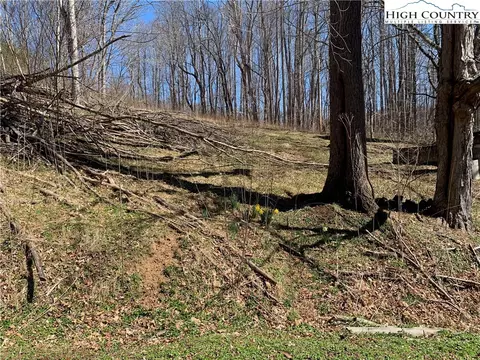 188 Bernard Bledsoe Ln # -E, Todd, NC 28684 photo 13