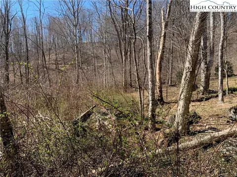 188 Bernard Bledsoe Ln # -E, Todd, NC 28684 photo 26