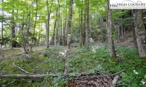 1000 Tbd Berry Ln, Banner Elk, NC 28604