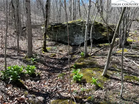 tbd Diamond Ridge Rd, Boone, NC 28607 photo 4