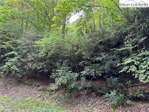 148 Deergrass Rd, Beech Mountain, NC 28604 photo 1