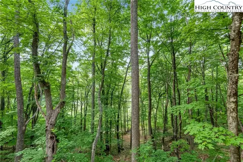 224 Monarch Dr, Todd, NC 28684 photo 50