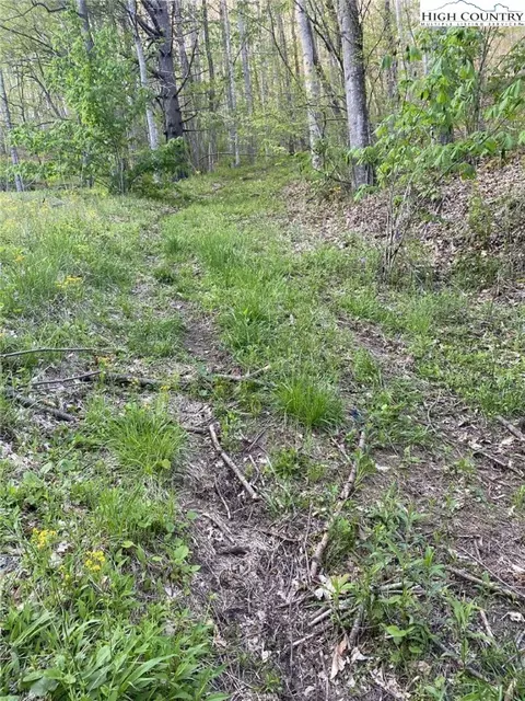 tbd Walnut Ln, Vilas, NC 26692 photo 6