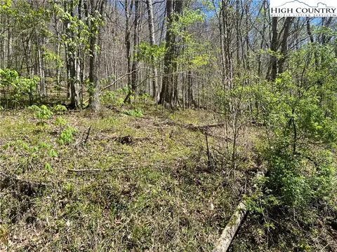 tbd Walnut Ln, Vilas, NC 26692 photo 2