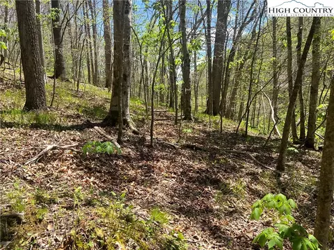 tbd Walnut Ln, Vilas, NC 26692 photo 3