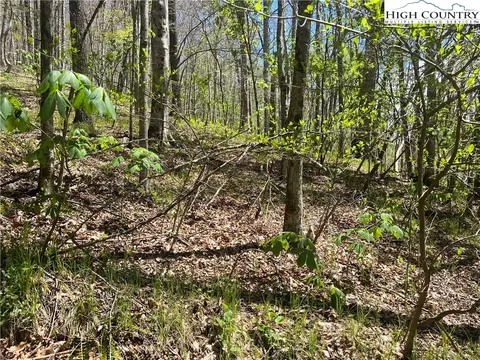 tbd Walnut Ln, Vilas, NC 26692 photo 5