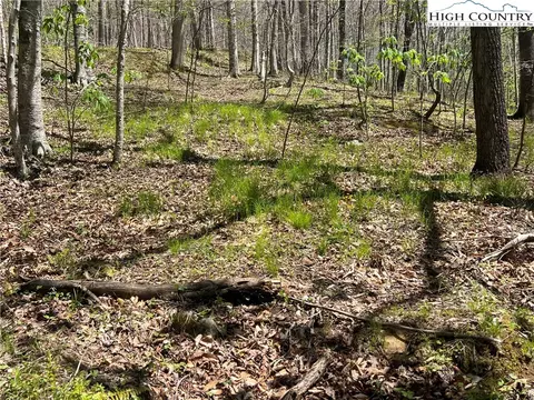 Tbd Walnut Lane, Vilas, NC 26692