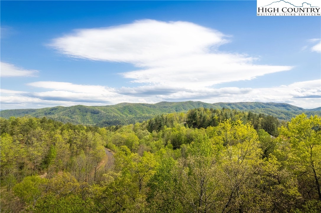 1 58 Acres Ladys Mantle Ln  