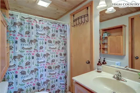 176 Indian Trl, Boone, NC 28607 photo 21