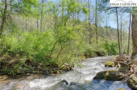 15575 W Us Hwy 421 Hwy, Purlear, NC 28665 photo 4