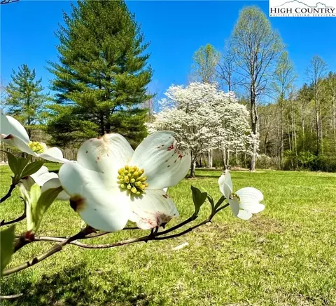 15575 W Us Hwy 421 Hwy, Purlear, NC 28665 photo 38