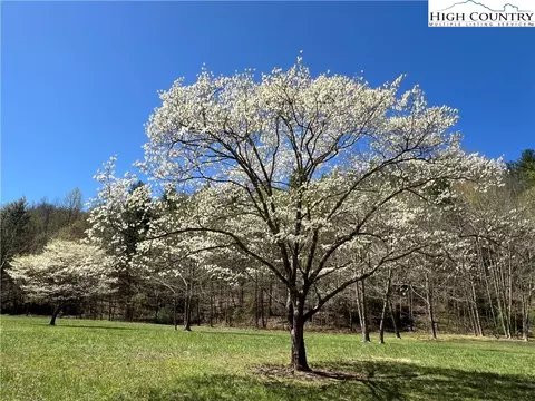 15575 W Us Hwy 421 Hwy, Purlear, NC 28665 photo 37