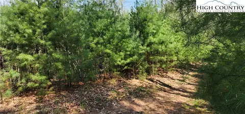 tbd Howell Rd, Lansing, NC 28643 photo 10