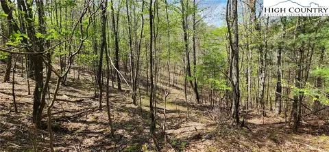 tbd Howell Rd, Lansing, NC 28643 photo 3