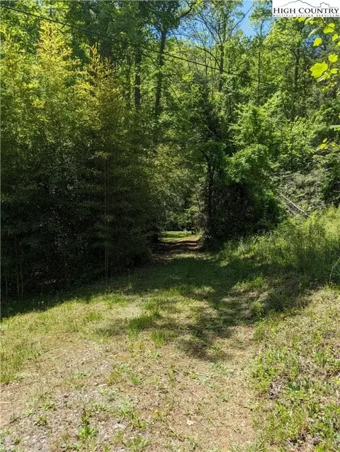 0 Luffman Rd, Dobson, NC 27017 photo 4