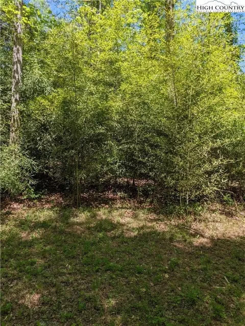 0 Luffman Rd, Dobson, NC 27017 photo 8