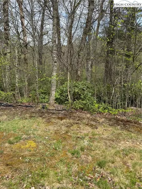 tbd linville river drive LOT 4 & 5, Linville, NC 28646