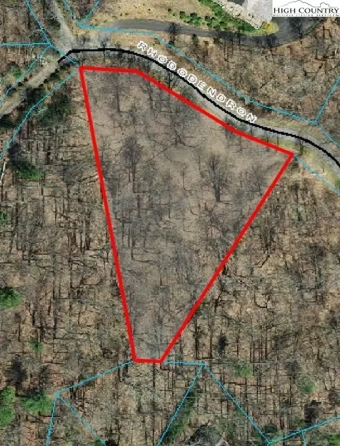 Tbd Rhododendron, Boone, NC 28067