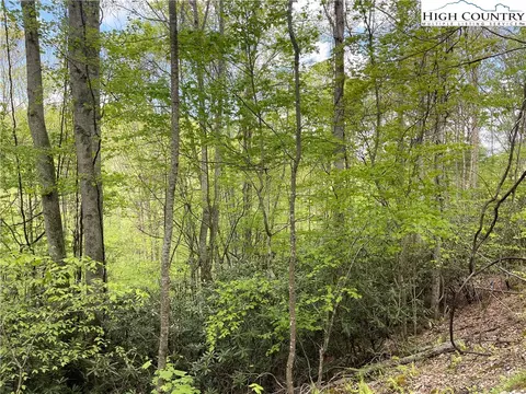 117 Deergrass Rd, Beech Mountain, NC 28604 photo 2