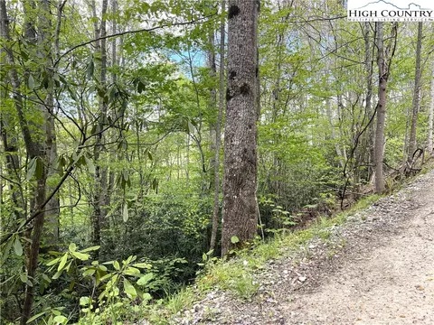 117 Deergrass Rd, Beech Mountain, NC 28604 photo 3
