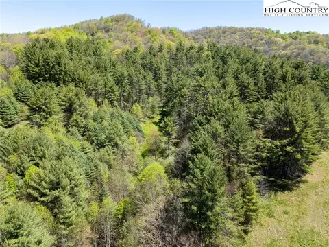 814 Roundabout Rd, Creston, NC 28615 photo 17